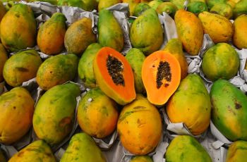 Organic Papaya (पपीता) 1 piece (500g–800g)